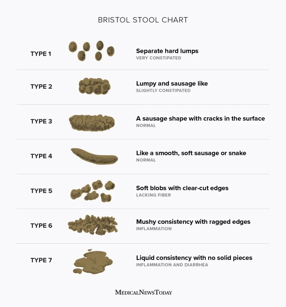 Bristol Stool Chart Printable