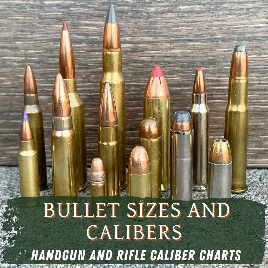 Bullet Sizes Complete Guide And Caliber Charts