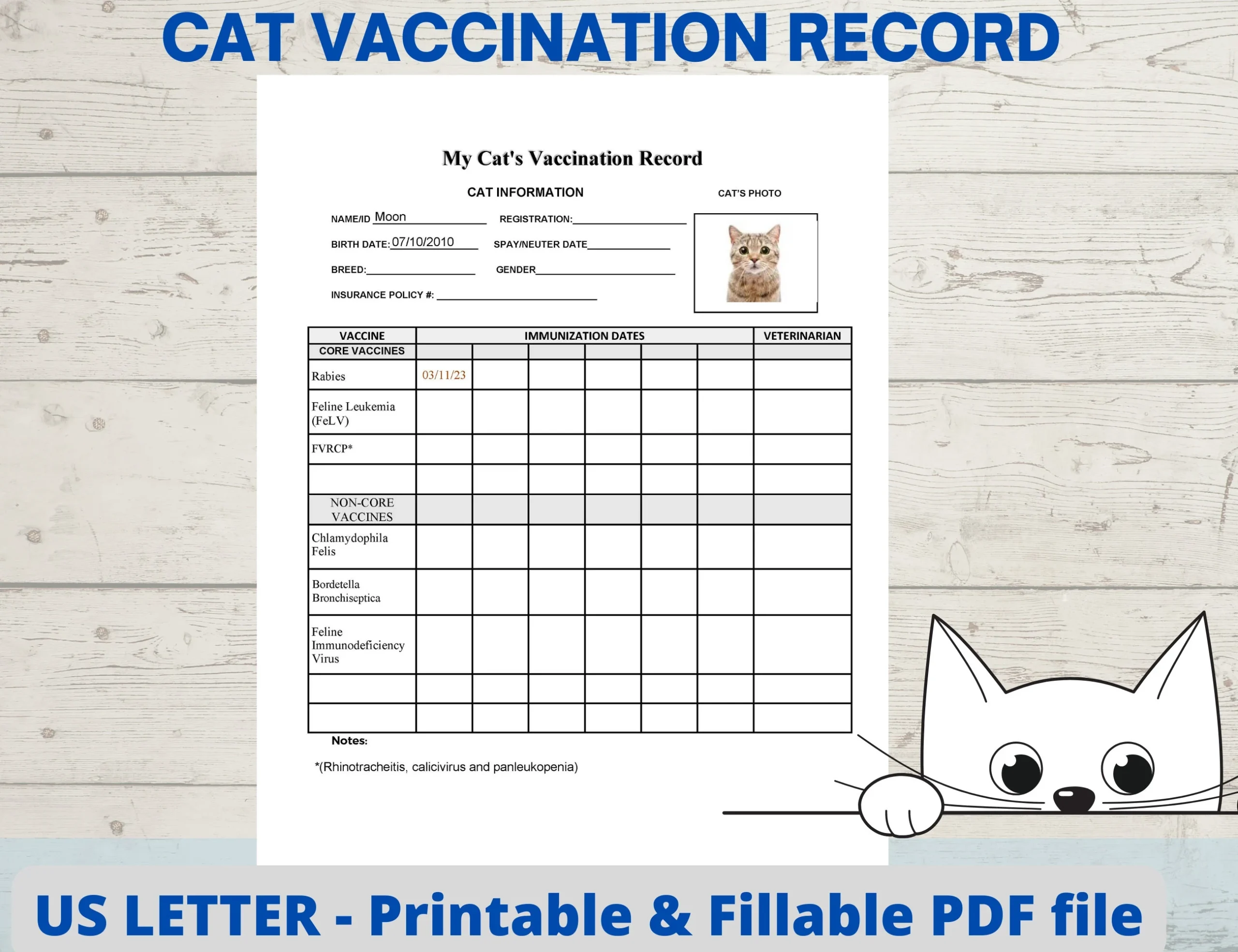 Cat Vaccination Record Cat Health Record Cat Shot Record Pet Cat Vaccination Record Cat Health Record Cat Shot Record Pet