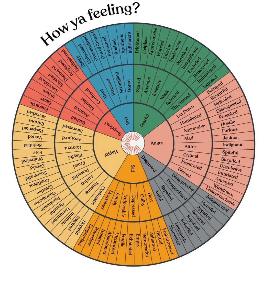 CI Emotions Wheel Digital Download Choose Intentionally CI Emotions Wheel Digital Download Choose Intentionally