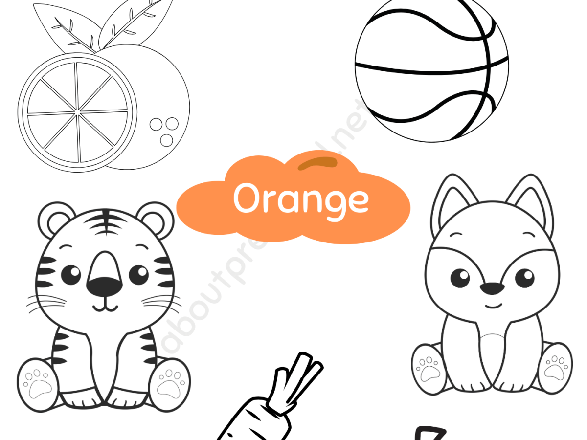 Color Orange Worksheet For Preschool About Preschool
