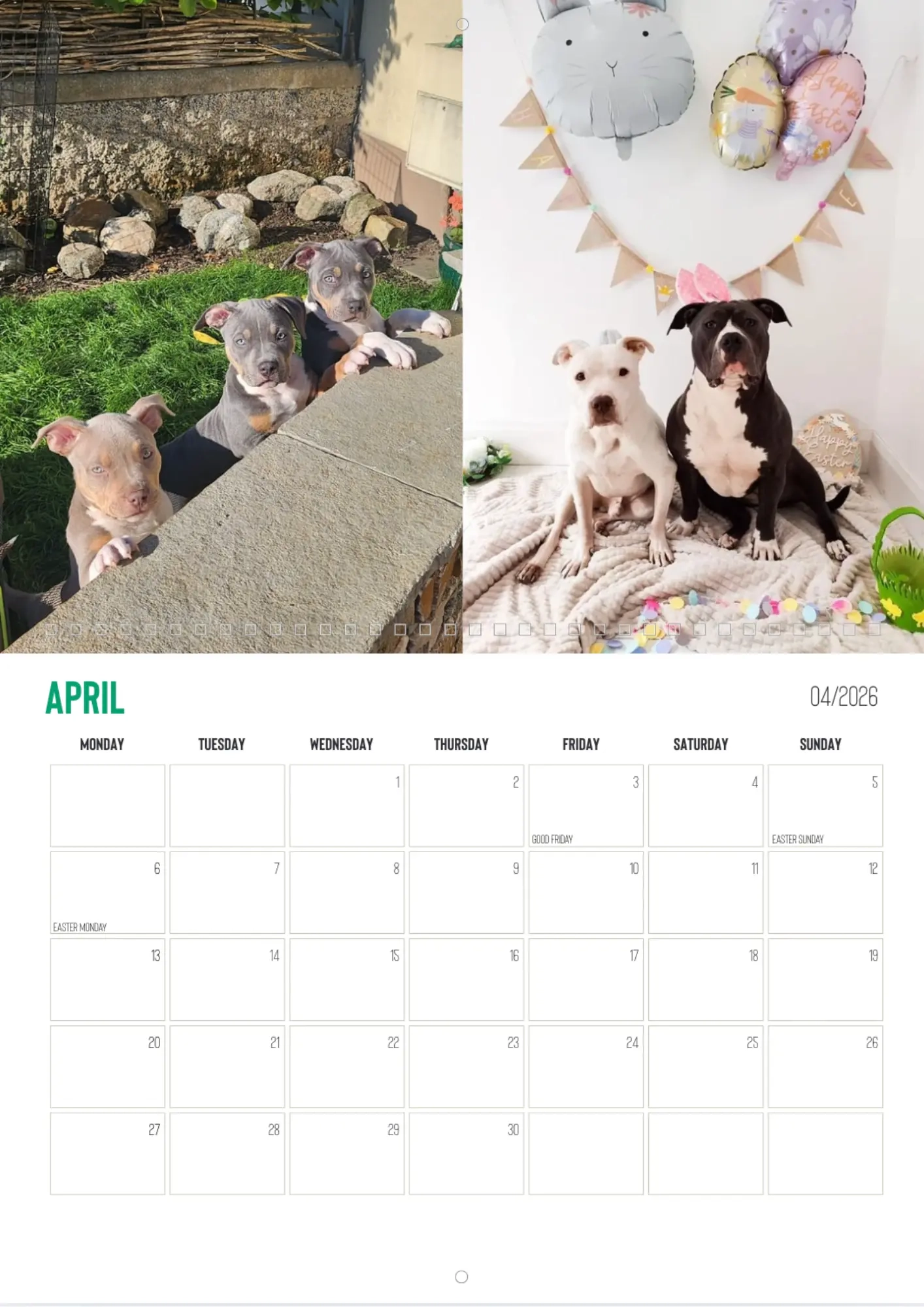 CuPooch Dog Charity Calendar 2026