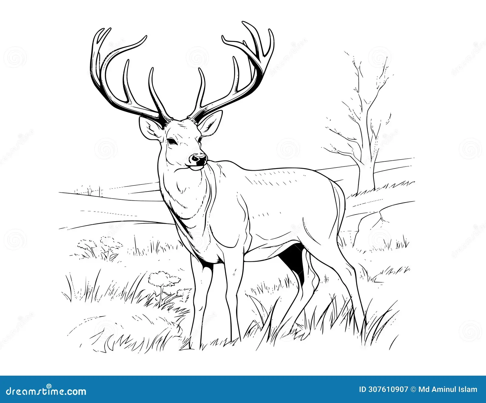 Deer Coloring Sheets Printable
