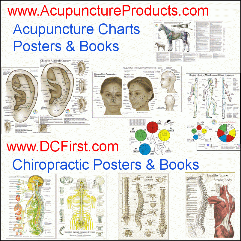 Dermatomes Of The Body Poster