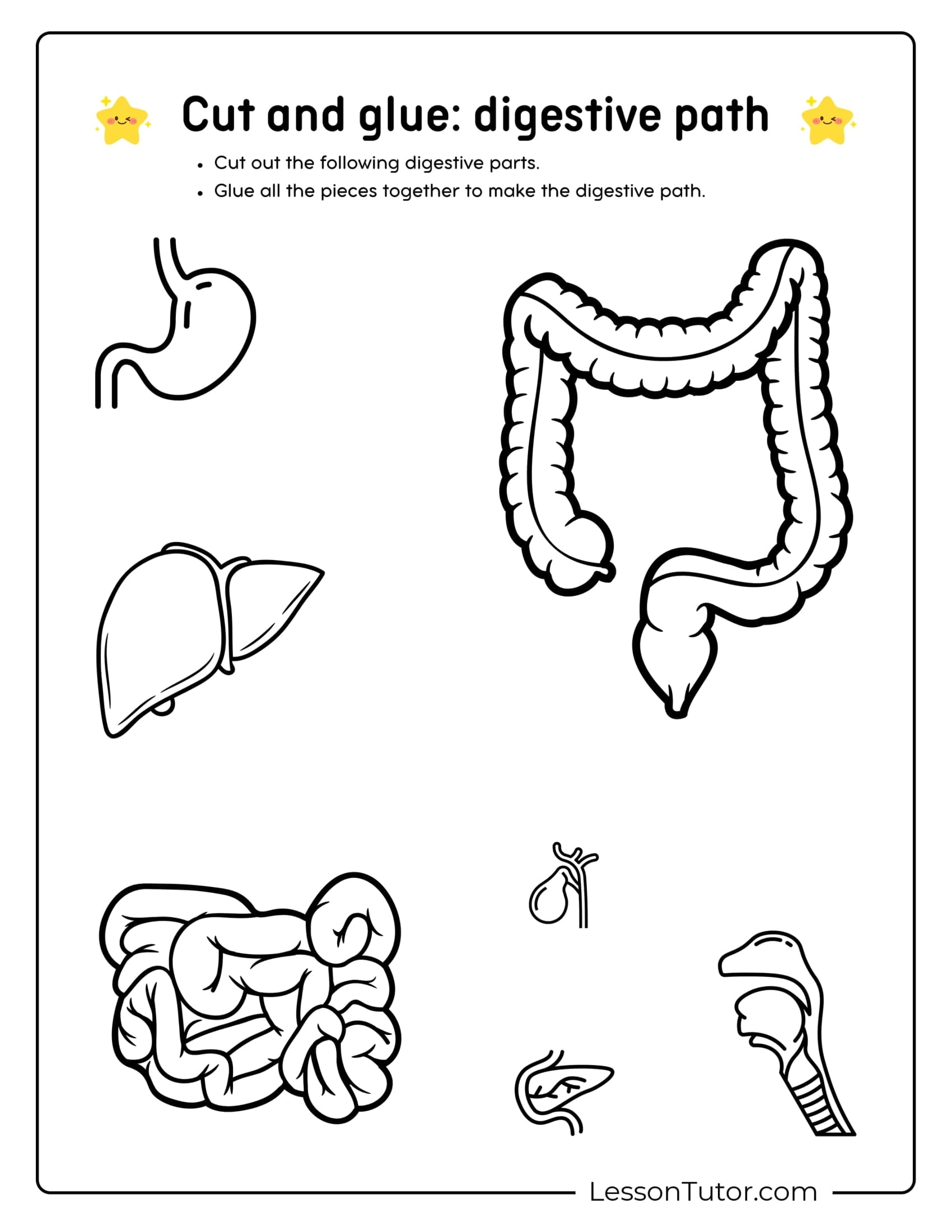 Digestive System Worksheets Lesson Tutor