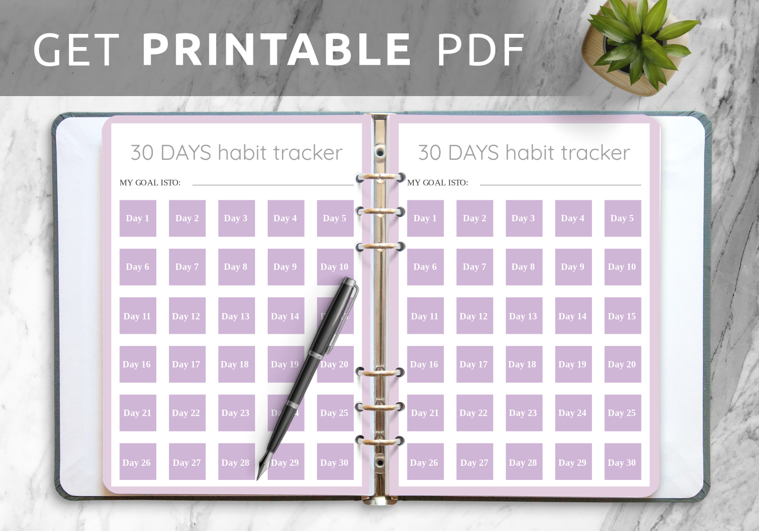 Calendar 30 Days Printable