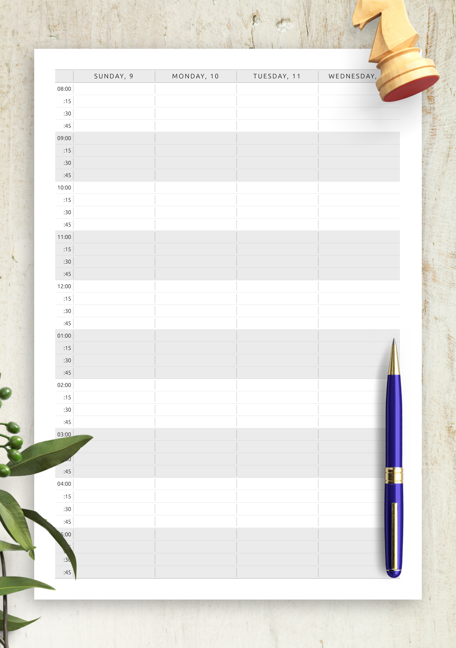 Download Printable Appointment Calendar Template Vertical Two Page Layout PDF