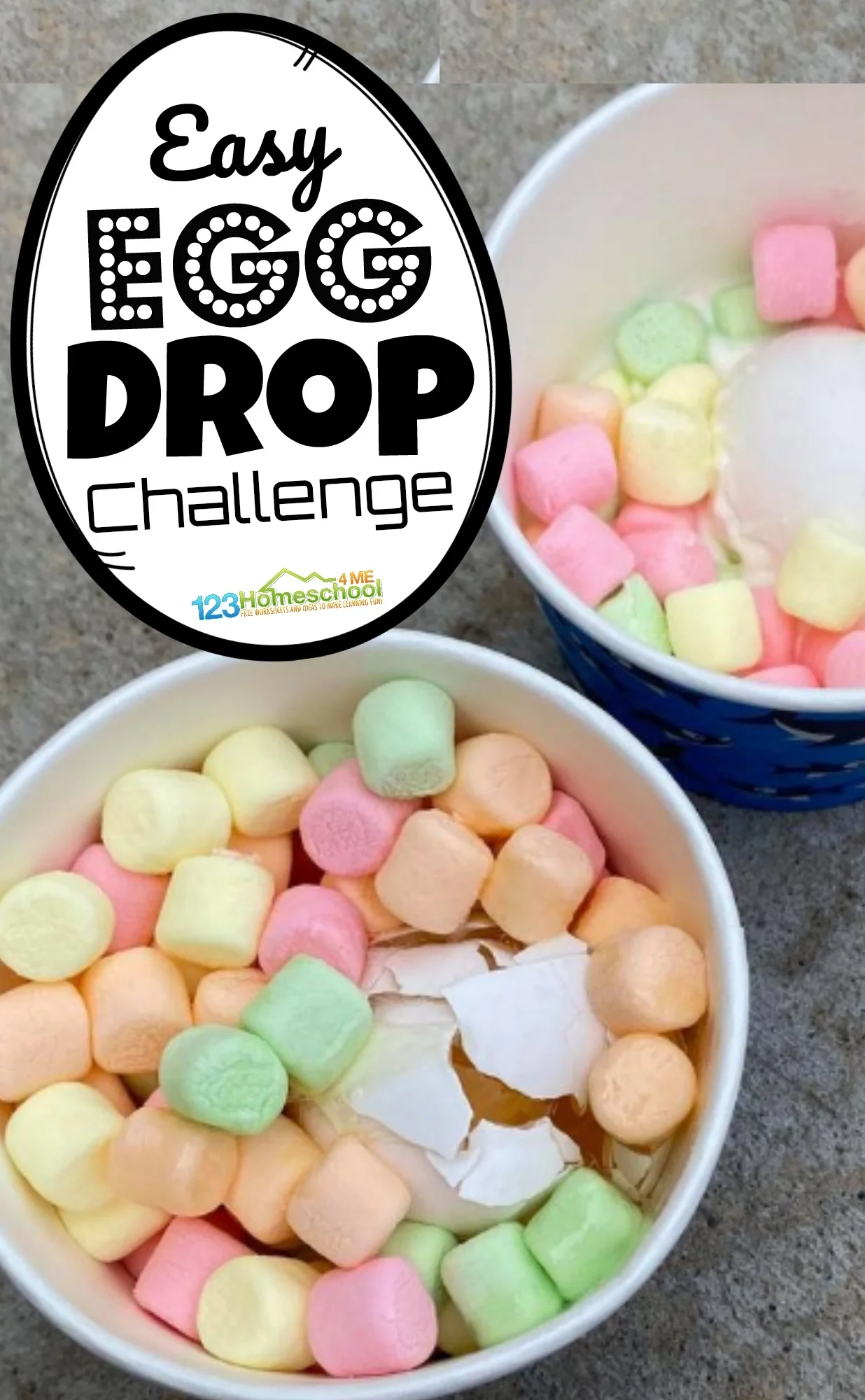  Egg Drop Challenge Project