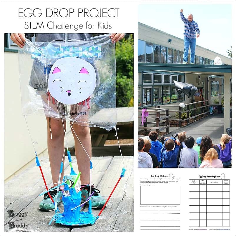 Egg Drop Project With Printable Recording Sheets Buggy And Buddy