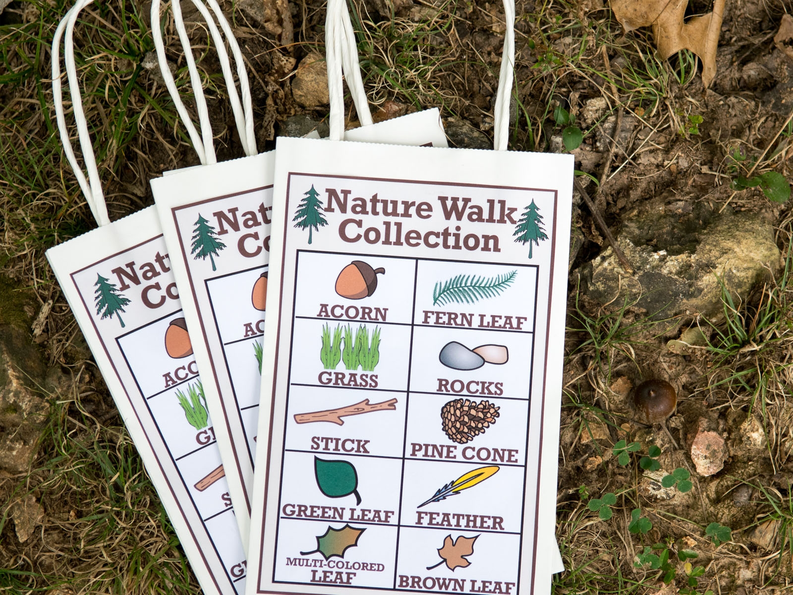 Engaging Nature Walk Ideas For Kids Printable Activity Sheet Nifty Mom