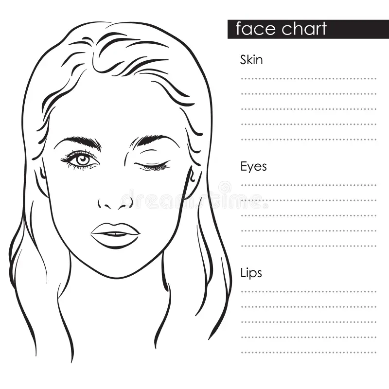 Face Chart Stock Illustrations 18 970 Face Chart Stock Illustrations Vectors Clipart Dreamstime