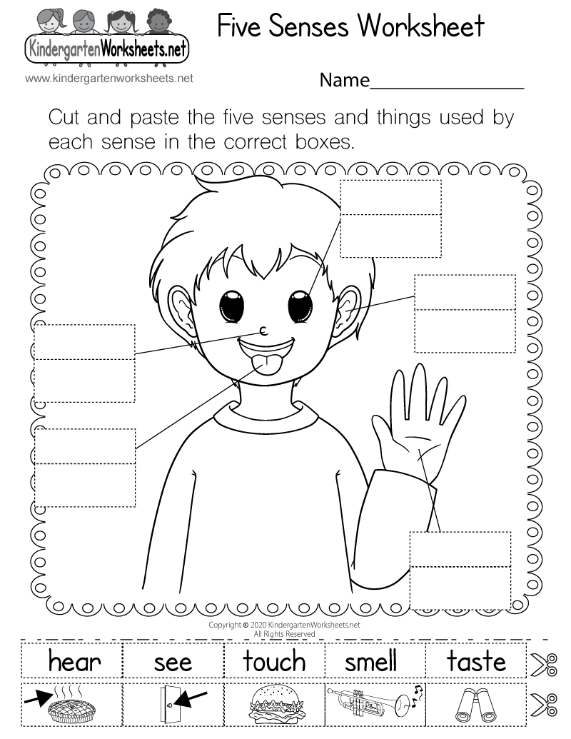 Free Printable Five Senses Worksheets