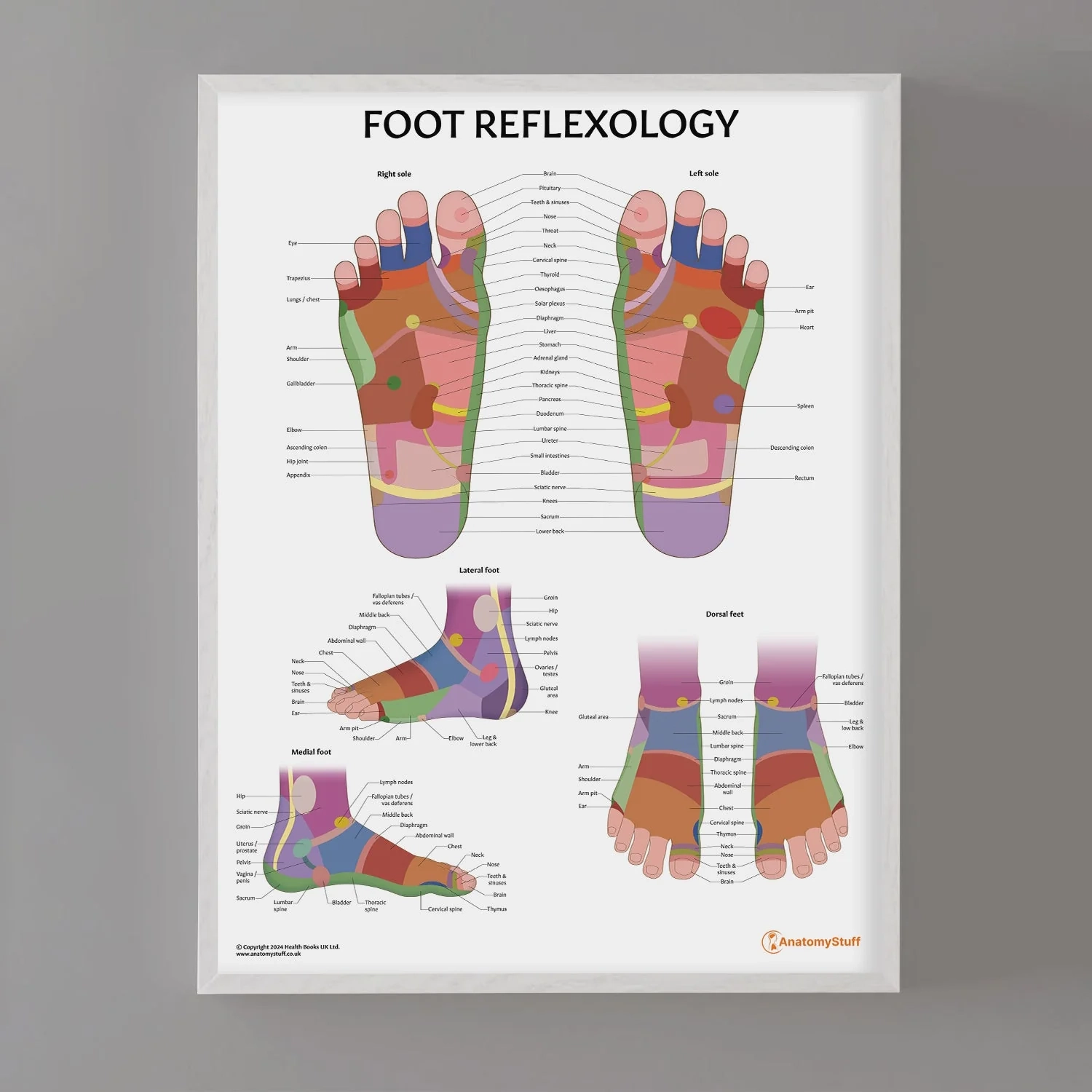 Free Printable Reflexology Chart