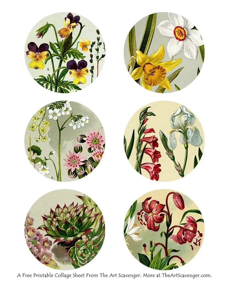 Free Botanical Picture Atlas Collage Sheet Printables The Art Scavenger
