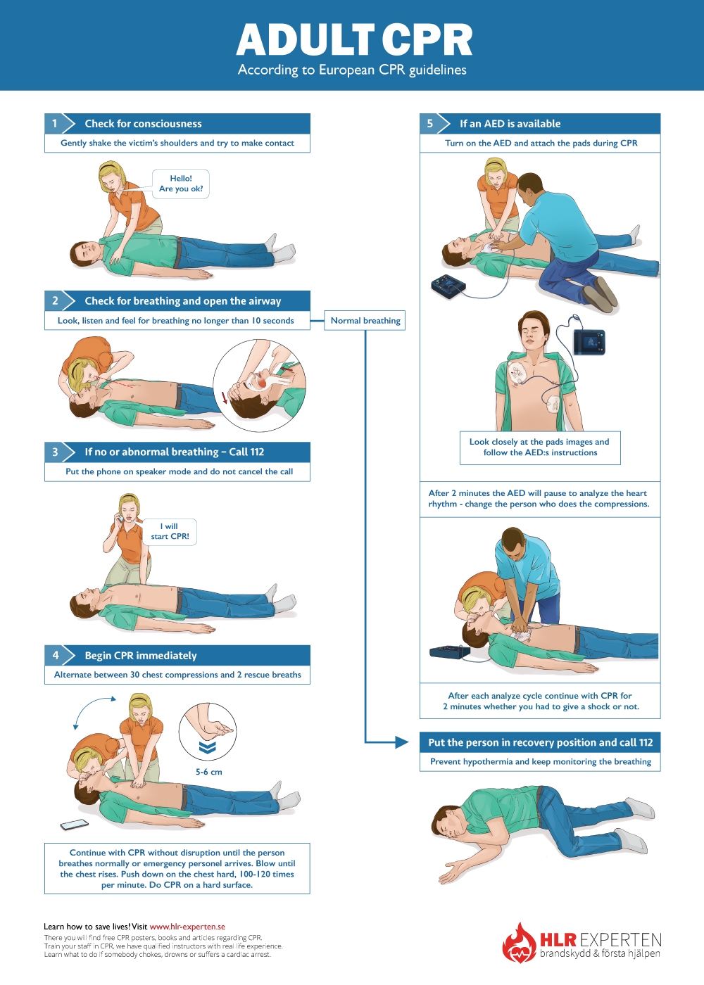 Free Printable Cpr Chart