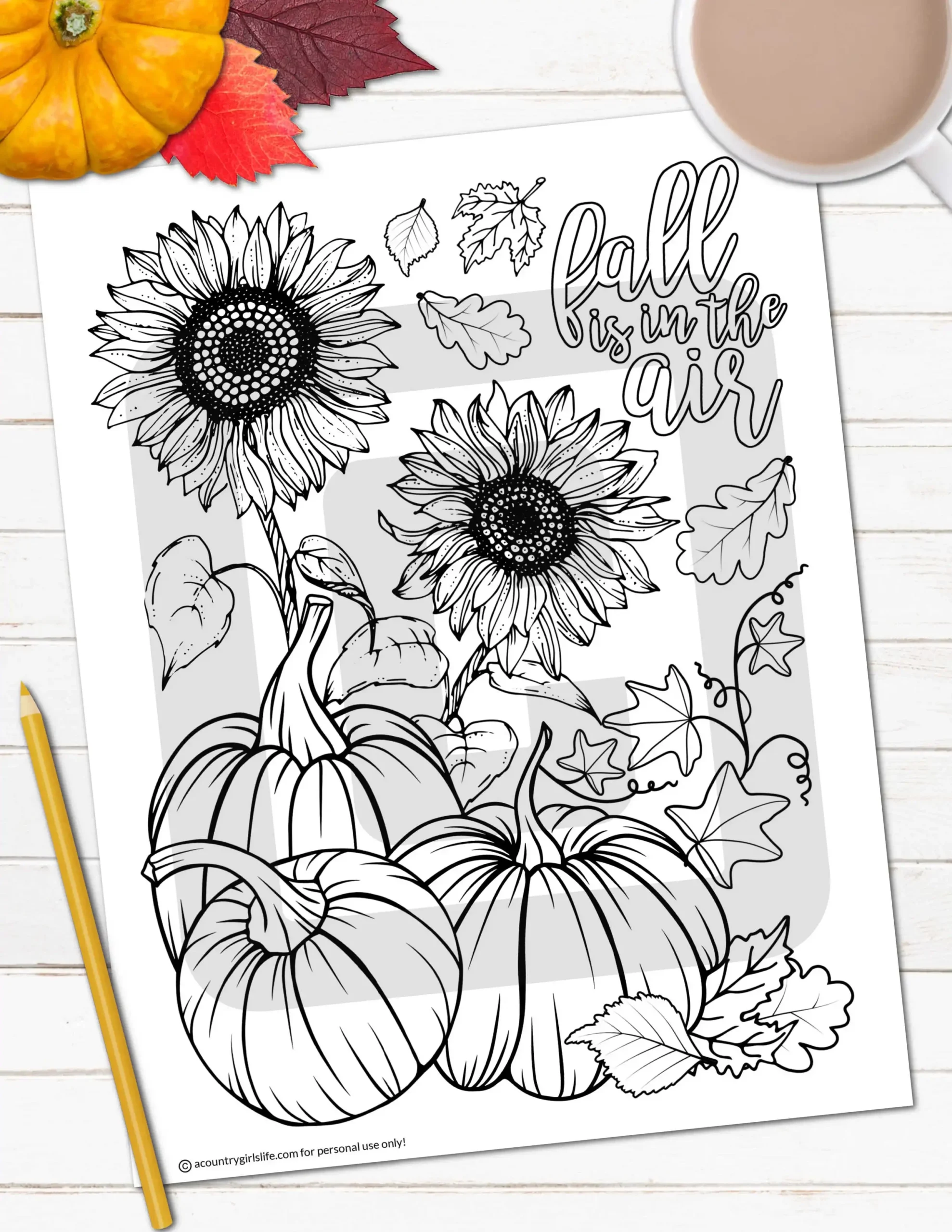 Free Printable Fall Color Sheets Free Printable Fall Color Sheets