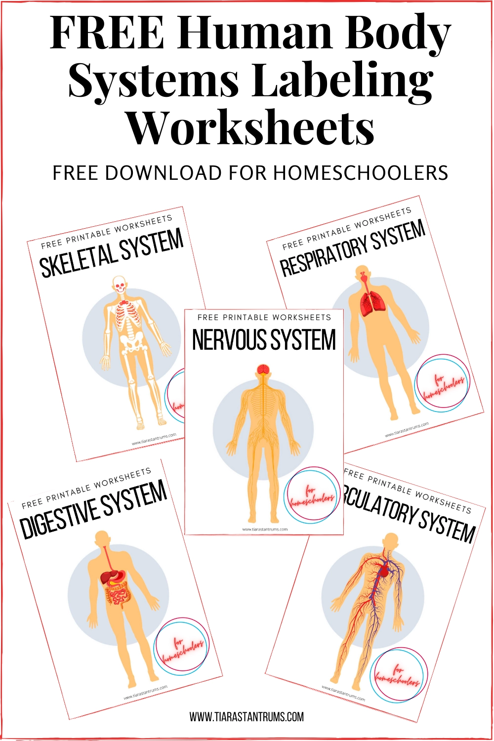 FREE Human Body Systems Labeling Worksheets Tiaras Tantrums