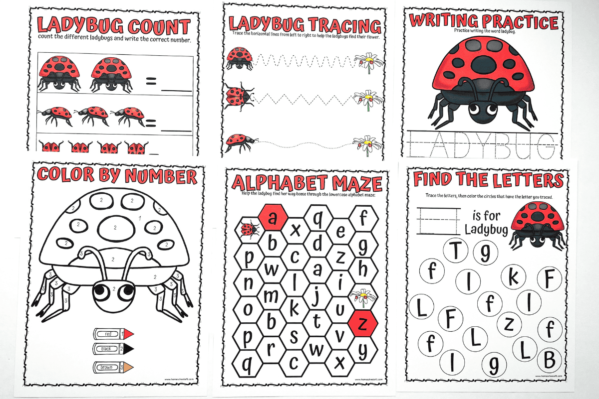 Free Ladybug Worksheets For Preschool Kids