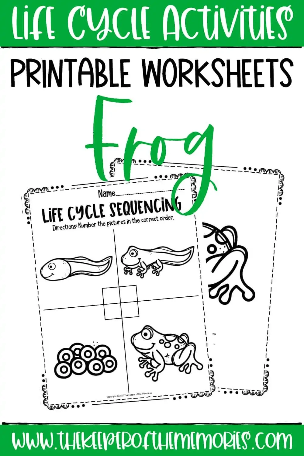 Free Printable Frog Life Cycle Worksheet