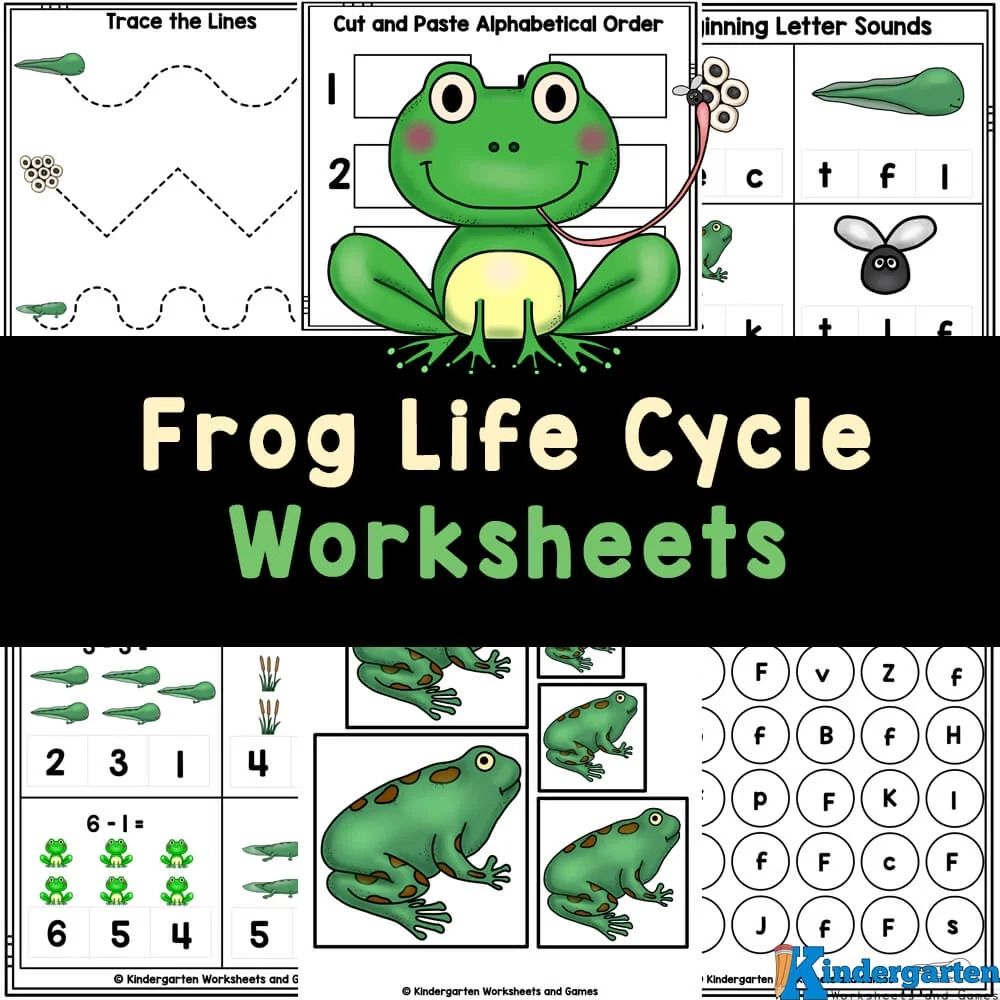 Free Printable Frog Life Cycle Worksheet