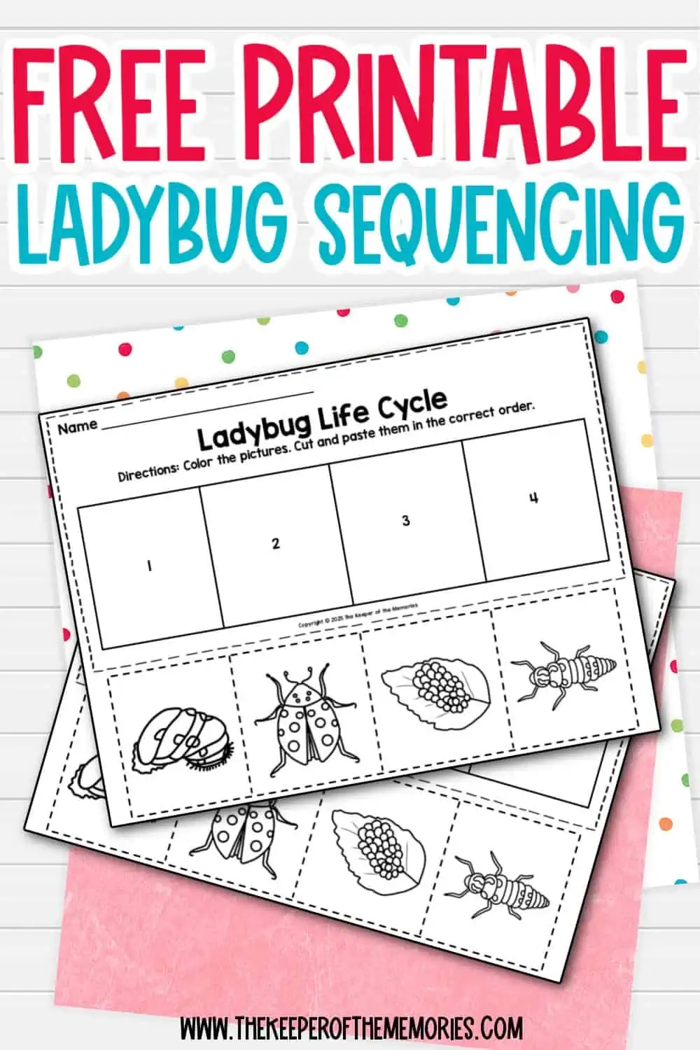 Free Printable Ladybug Life Cycle Sequencing Worksheets The Keeper Of The Memories