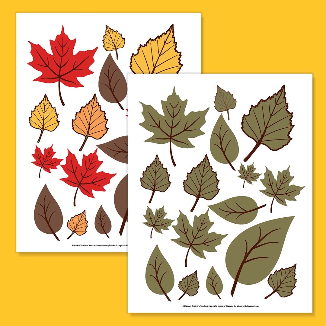 Leaf Color Chart Printable