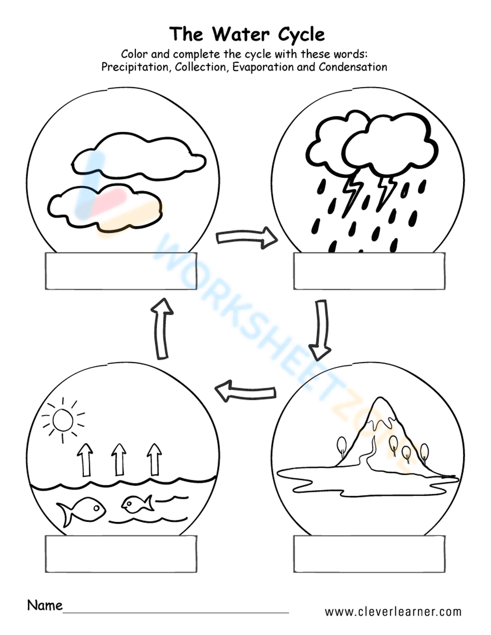 FREE Printable Water Cycle Worksheets For Kids Worksheets Library