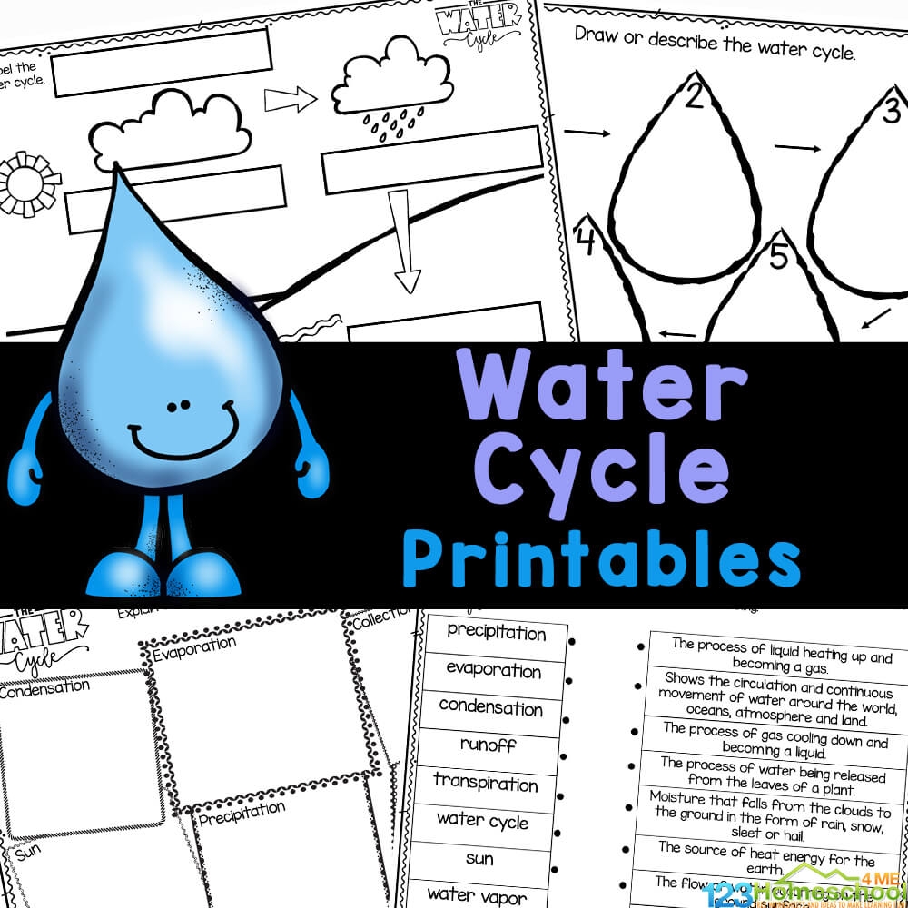 Free Printable Water Cycle Worksheets