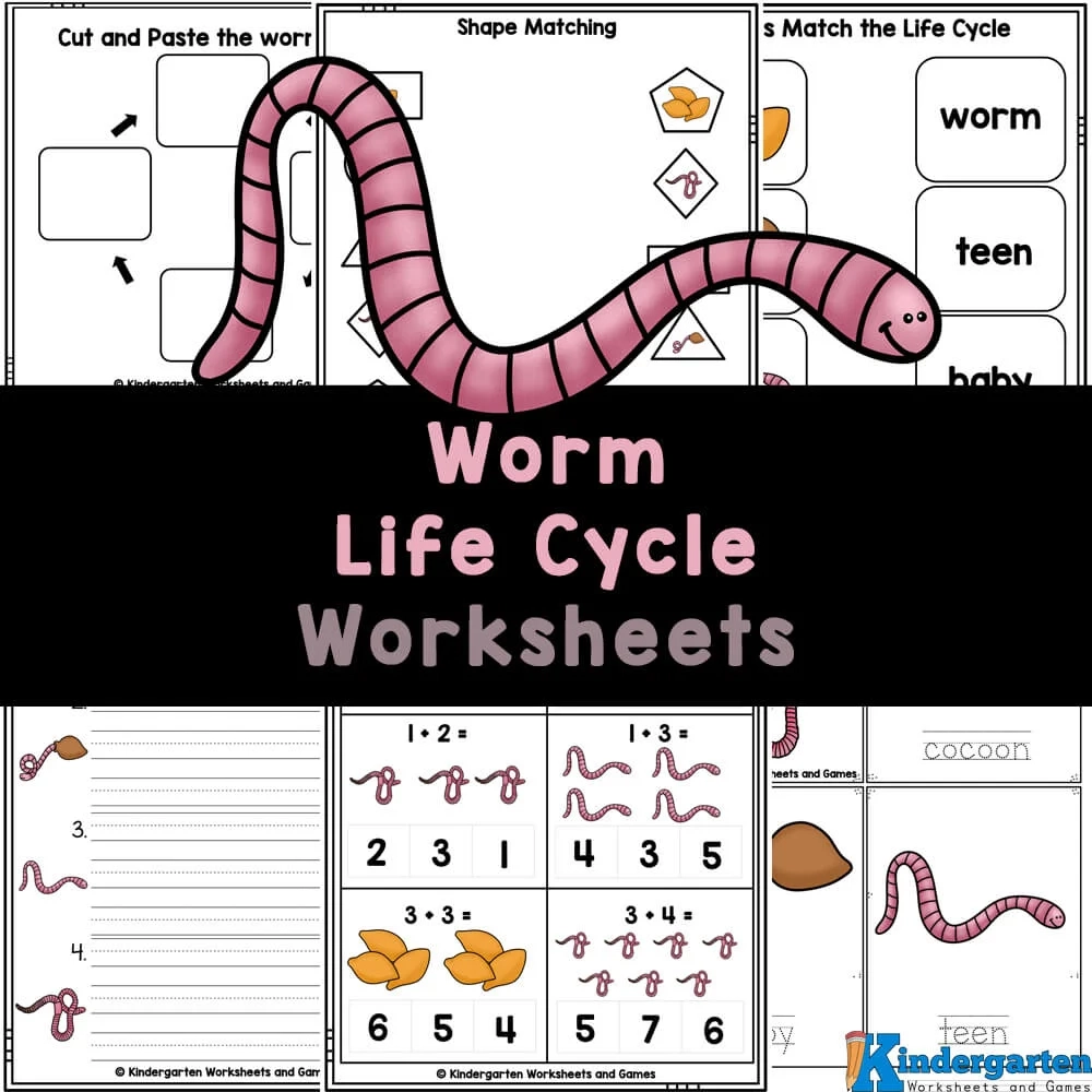 FREE Printable Worm Life Cycle Worksheets For Kids