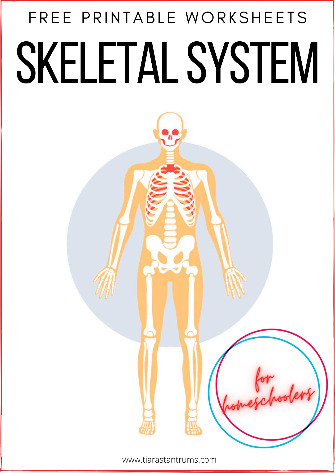 FREE Skeletal System Worksheets Printable Tiaras U0026 Tantrums