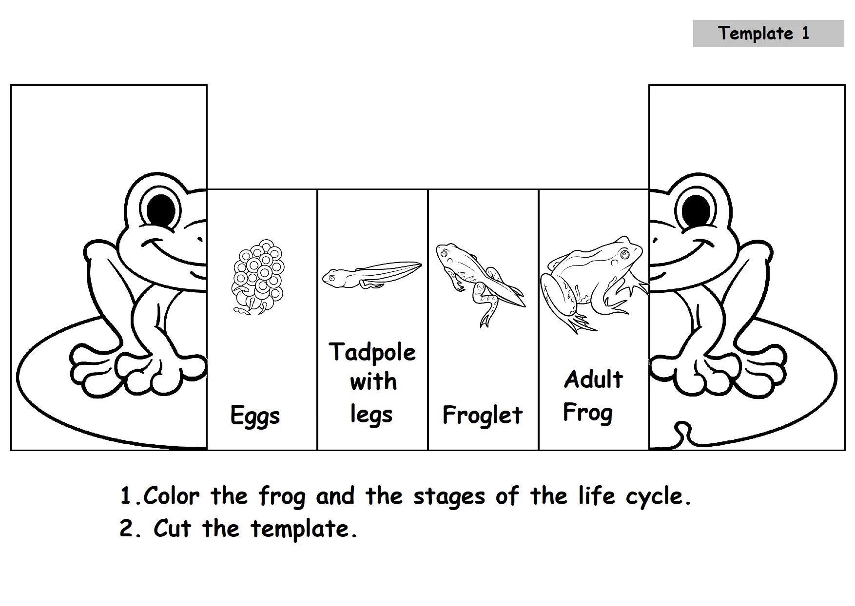 Frog Life Cycle Printable PDF Foldable Frog Life Cycle Learning Activity For Kids Montessori Material Mini Nature Study Foldable Kids Craft Etsy