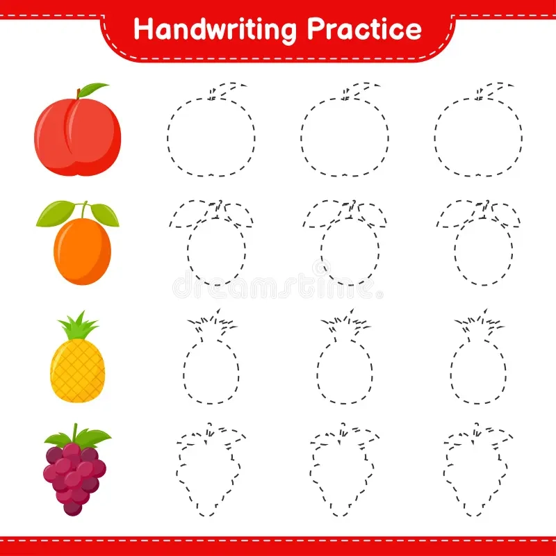 Handwriting Practice Tracing Lines Of Fruits Educational Children Game Printable Worksheet Vector Illustration Stock Vector Illustration Of Geometric Hobby 211482629