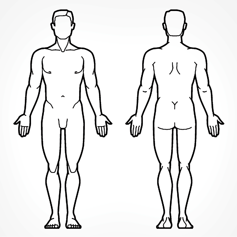 Human Anatomy Template
