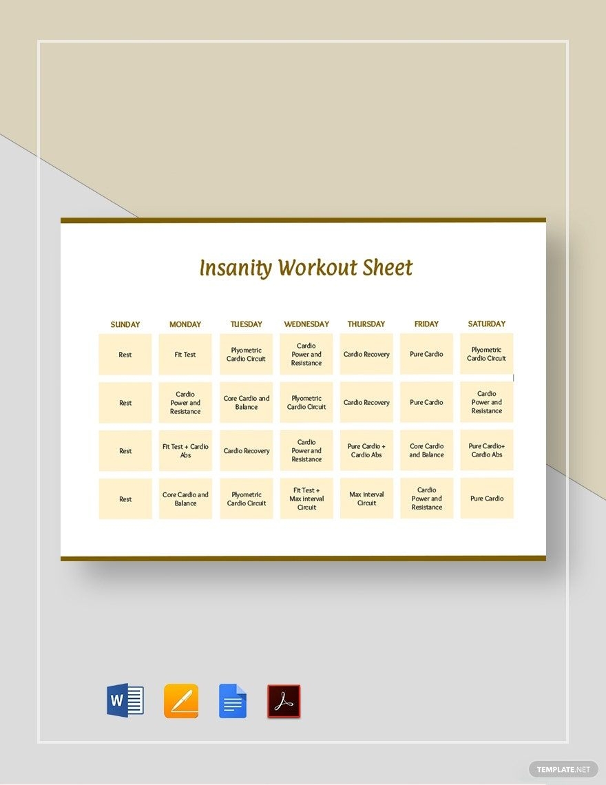 Insanity Workout Sheet Template In Word Pages Google Docs PDF Download Template