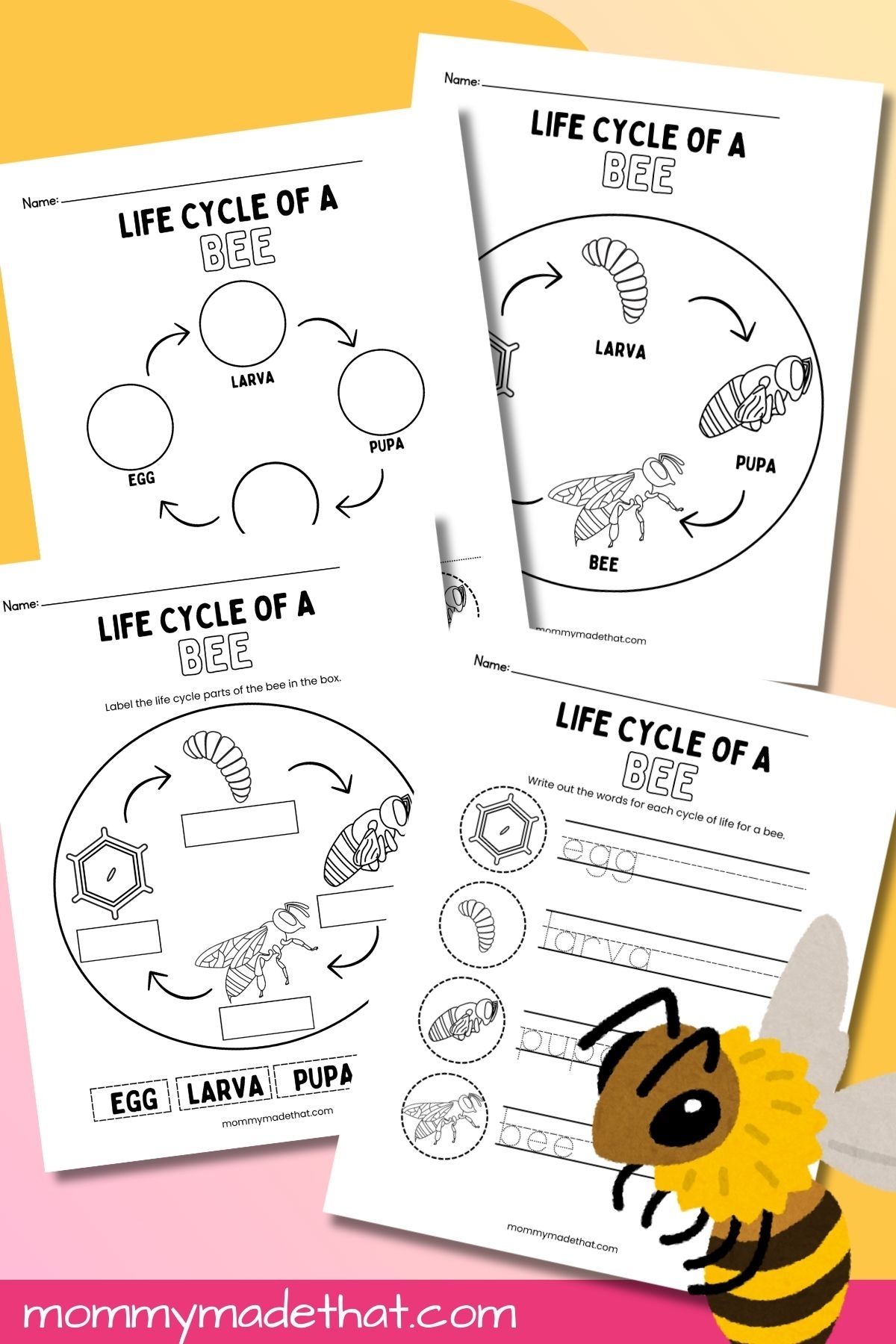 Life Cycle Of A Bee Worksheets Free Printables 