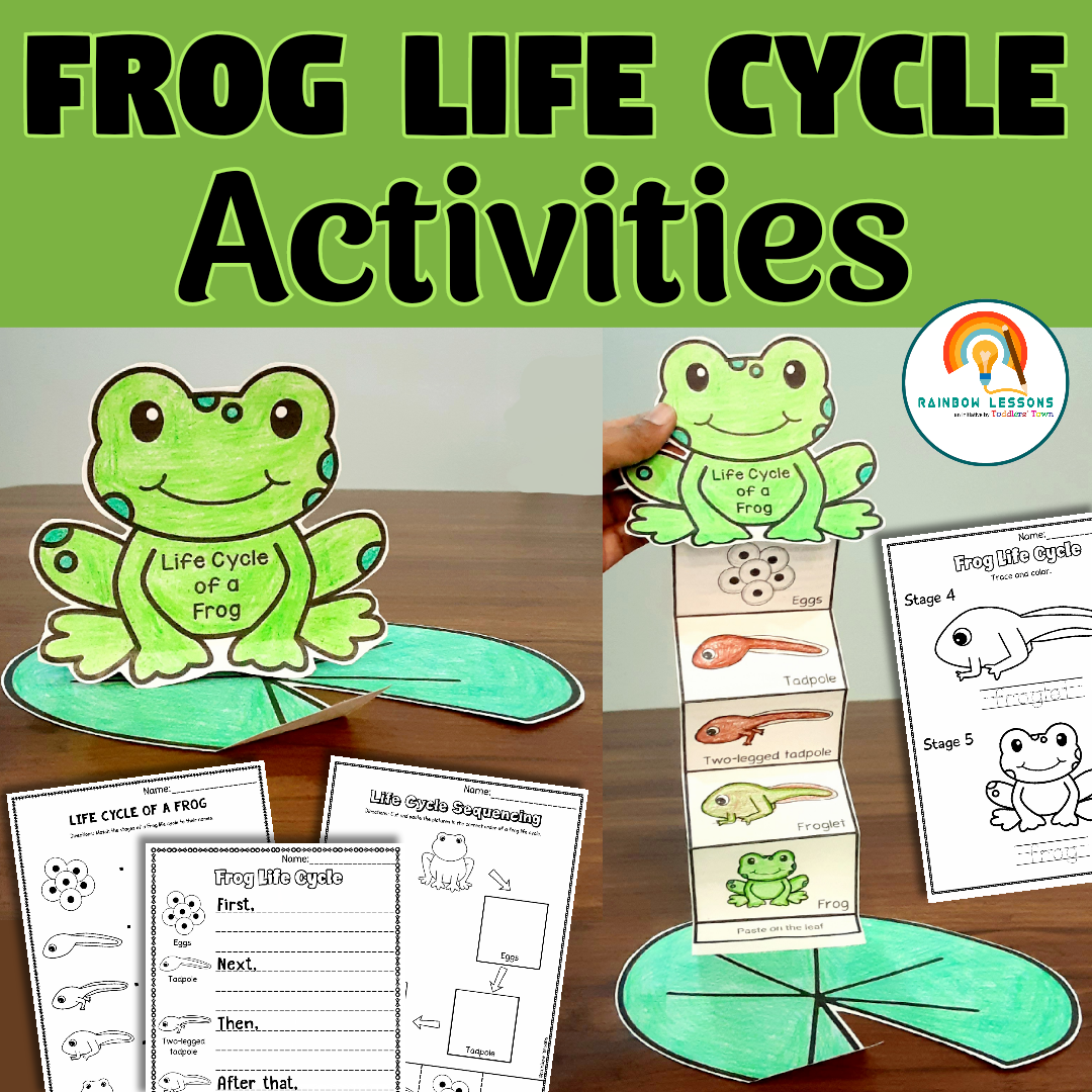 Life Cycle Of Frog Activities Frog Life Cycle Craft Kindergarten Science Made By Teachers