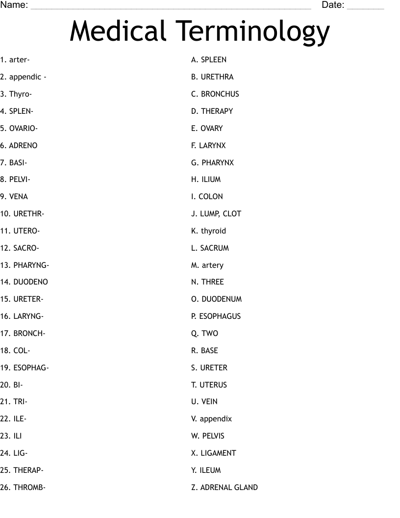 Medical Terminology Worksheet WordMint