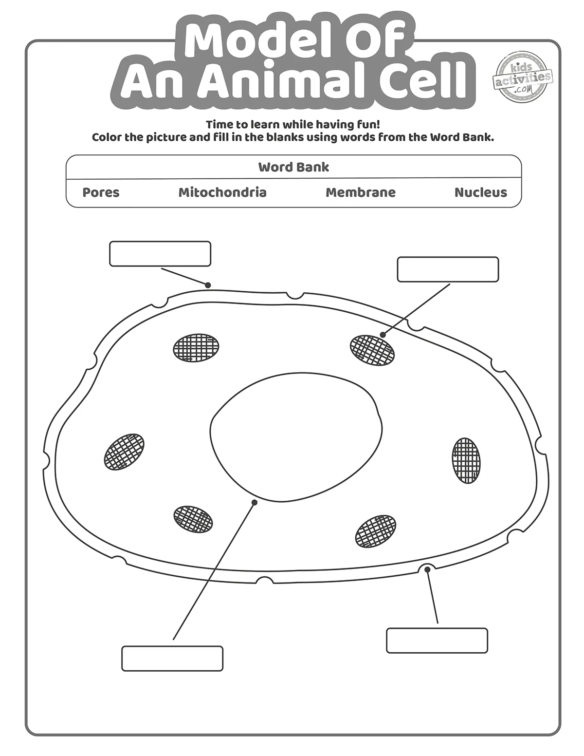 Animal Cell Printable Worksheet