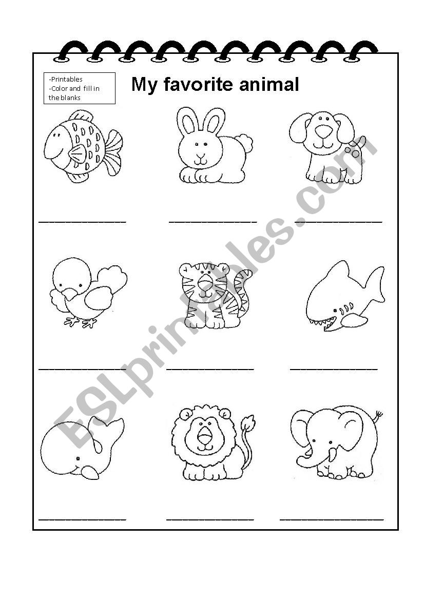 My Favorite Animals ESL Worksheet By Rozzroy