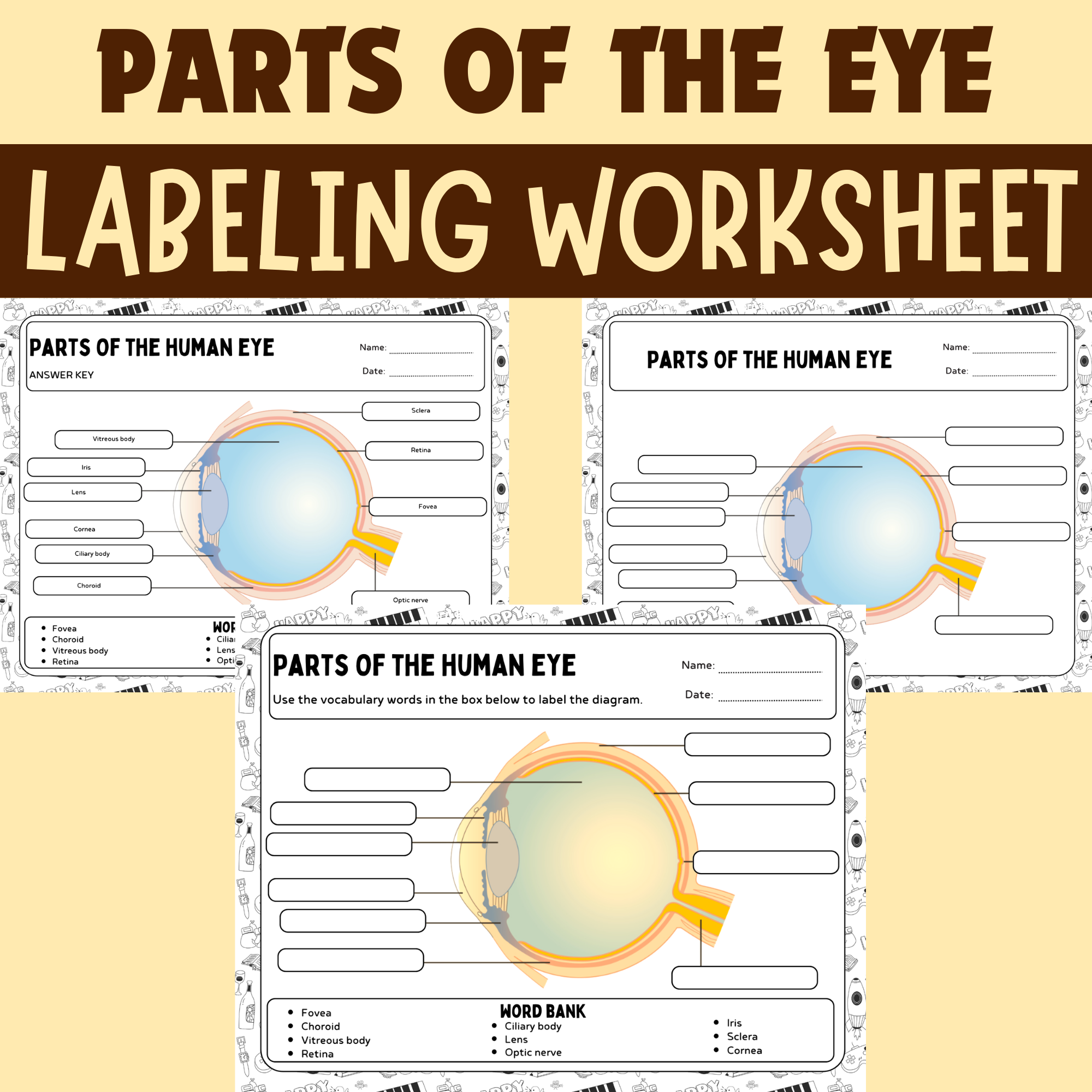 Parts Of The Human Eye Activities Labeling Worksheets Coloring Pages Word Search Made By Teachers