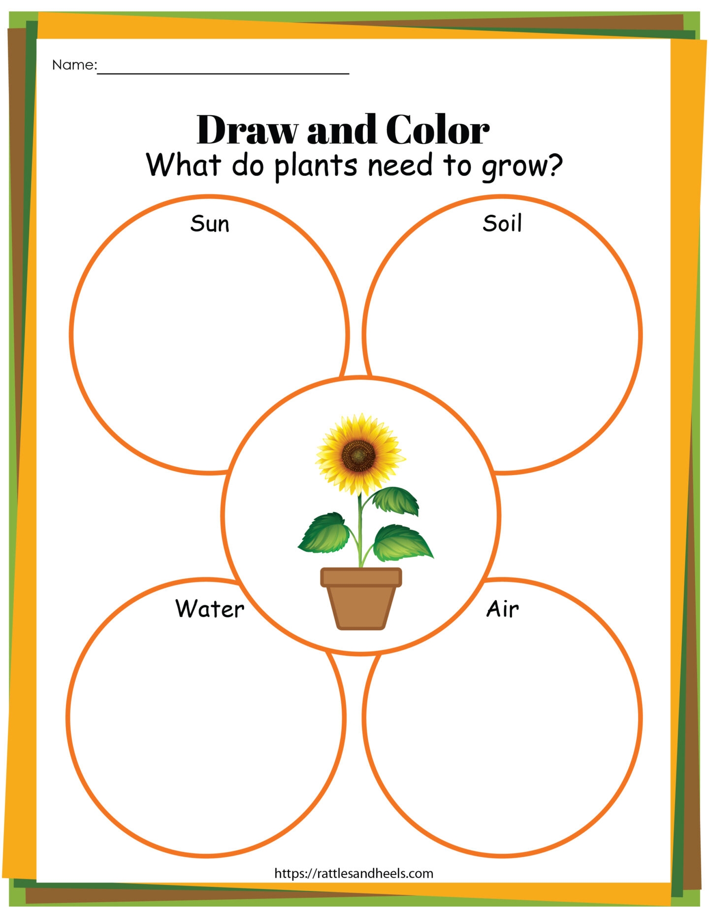 Free Printable Plant Worksheets