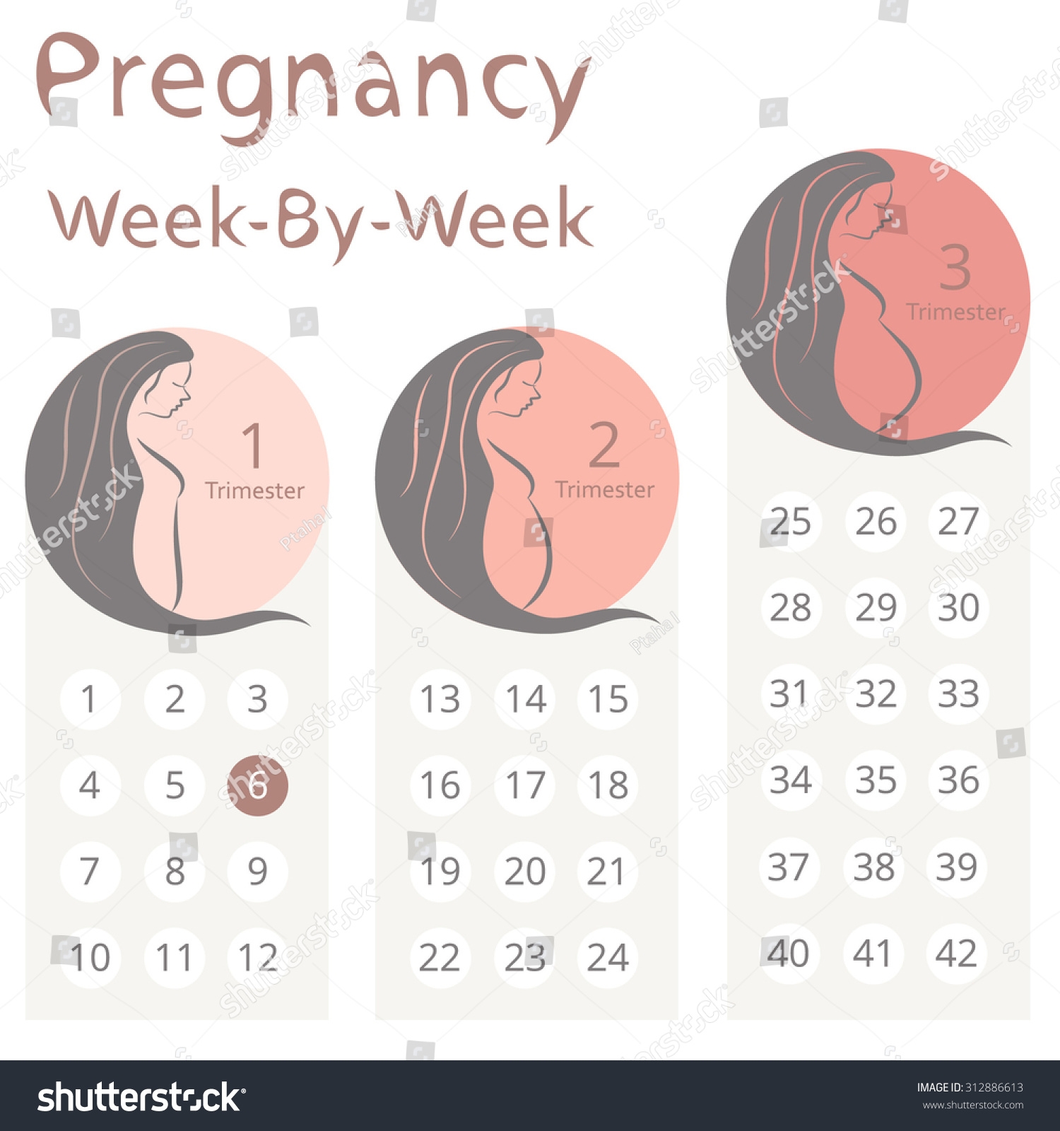 Pregnancy Week By Week Calendar Printable