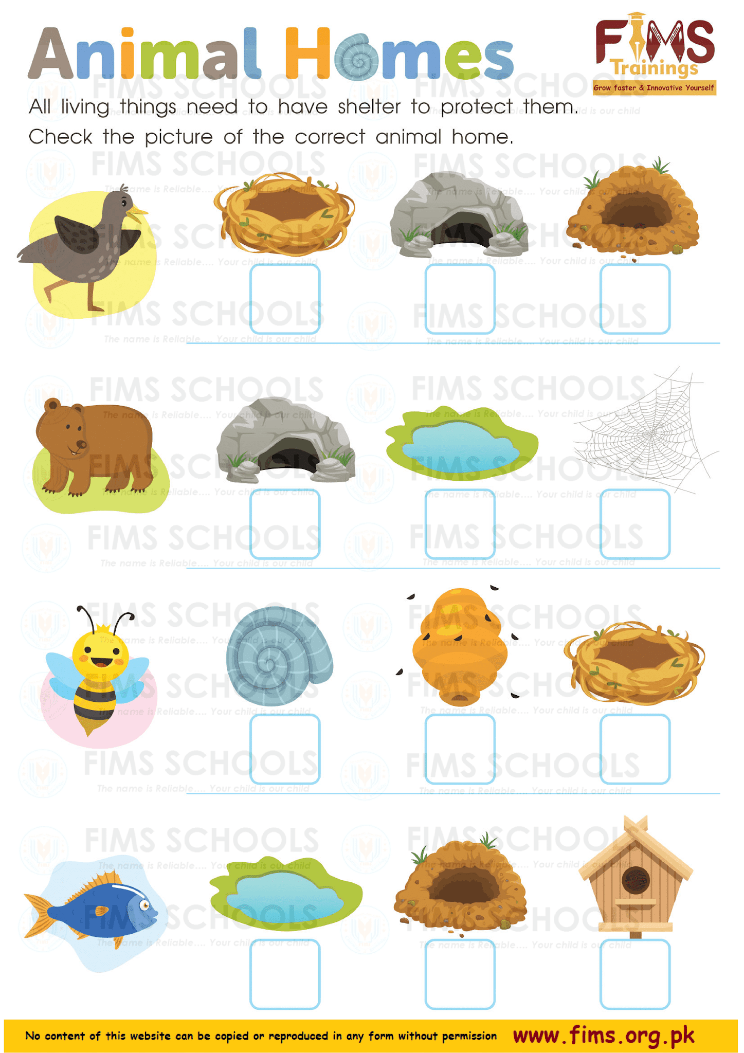 Kindergarten Science Free Printable Worksheets