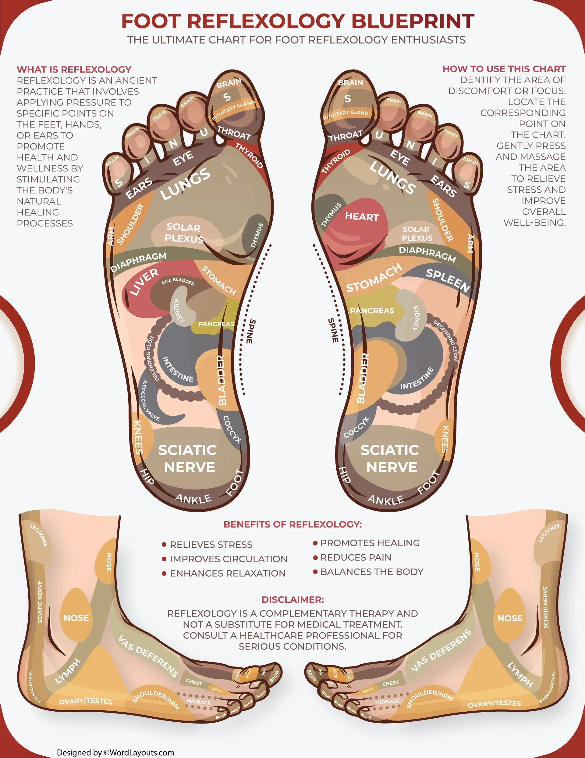 Printable Foot Reflexology Zones Chart WordLayouts