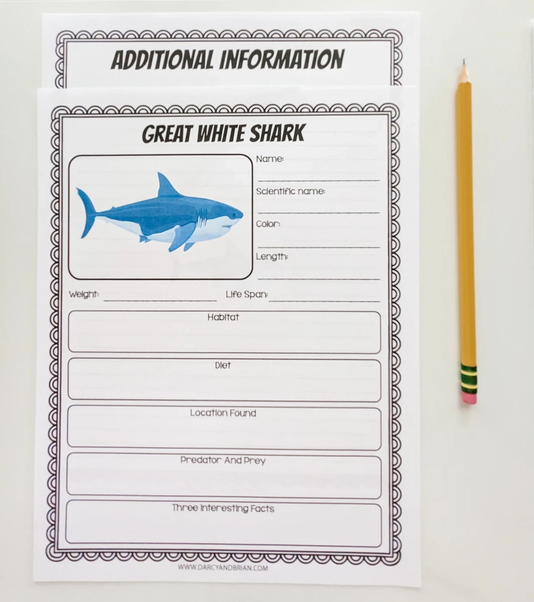 Printable Shark Worksheets