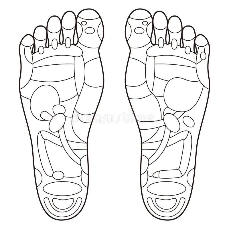 Printable Reflexology Blank Foot Chart