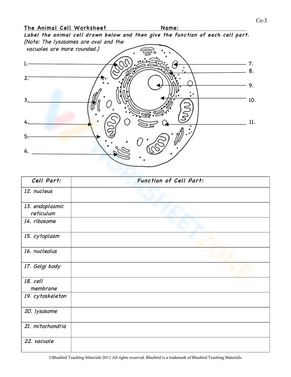 The Animal Cell Worksheet Worksheet Worksheets Library The Animal Cell Worksheet Worksheet Worksheets Library