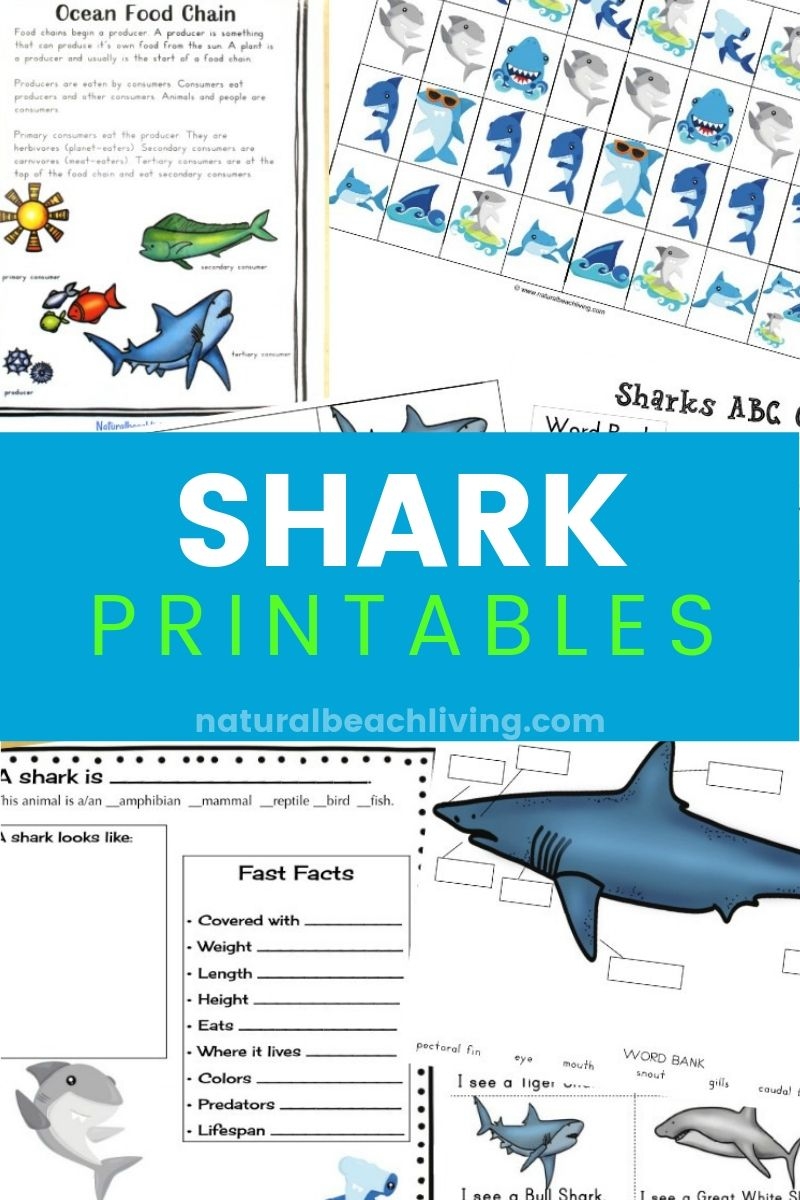 The Best Shark Printable Activities For Kids Shark Lesson Plans Natural Beach Living The Best Shark Printable Activities For Kids Shark Lesson Plans Natural Beach Living