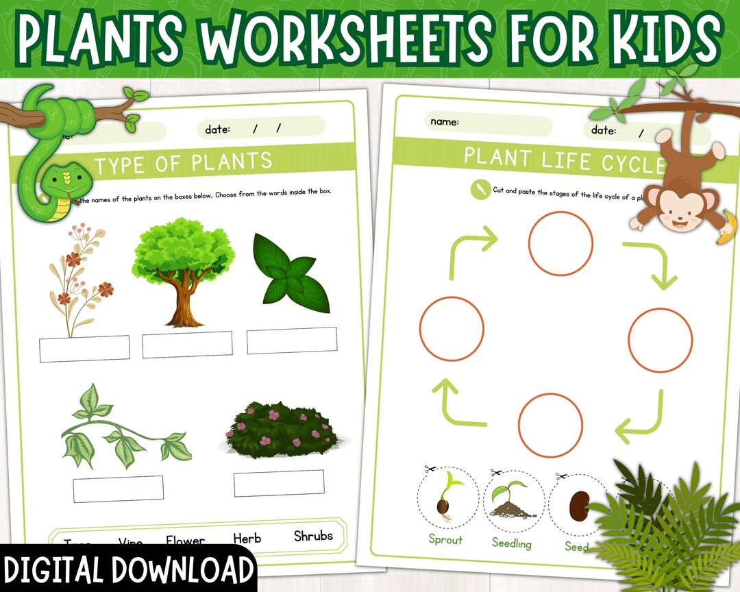 Printable Plant Worksheets