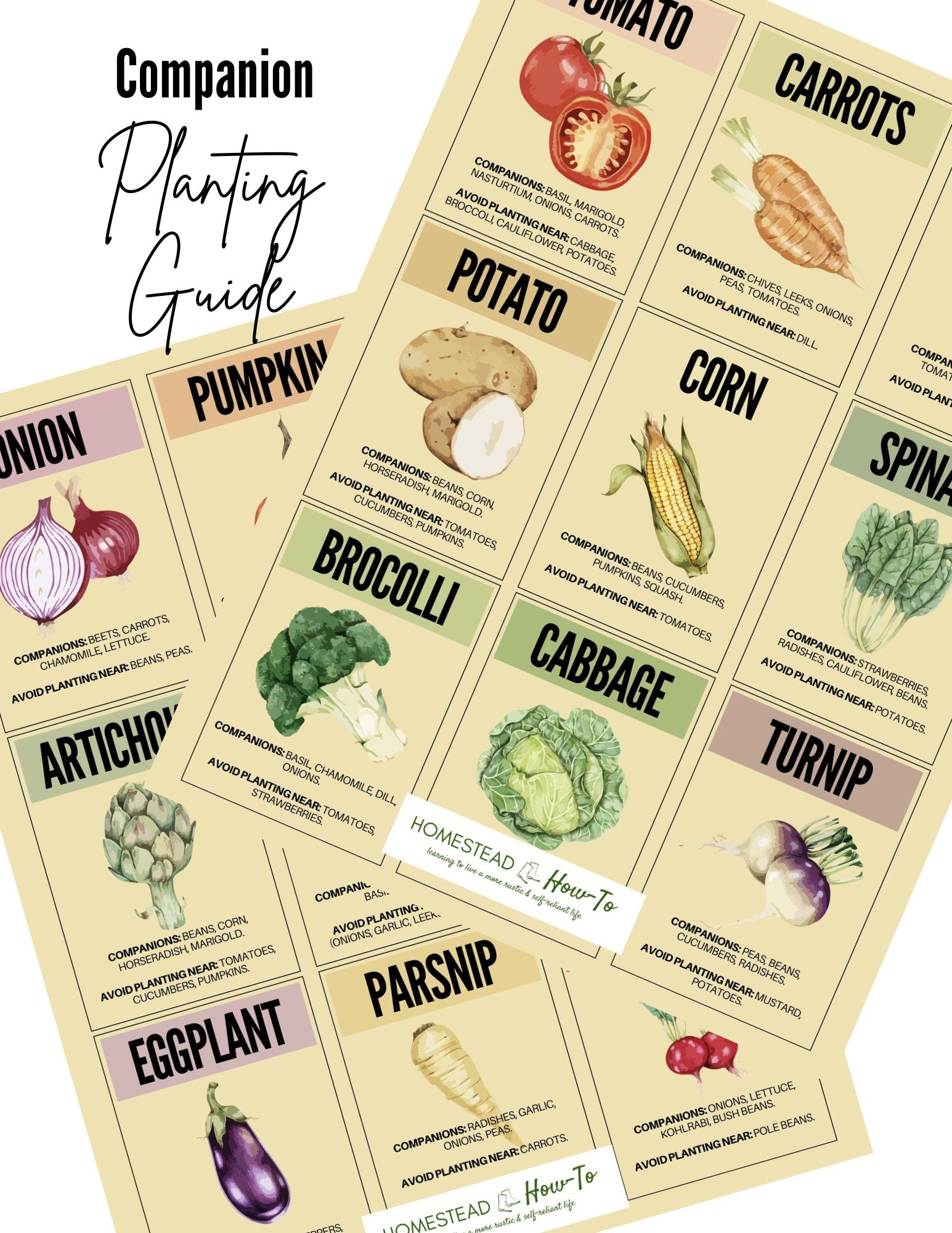 Printable Vegetable Serving Size Chart